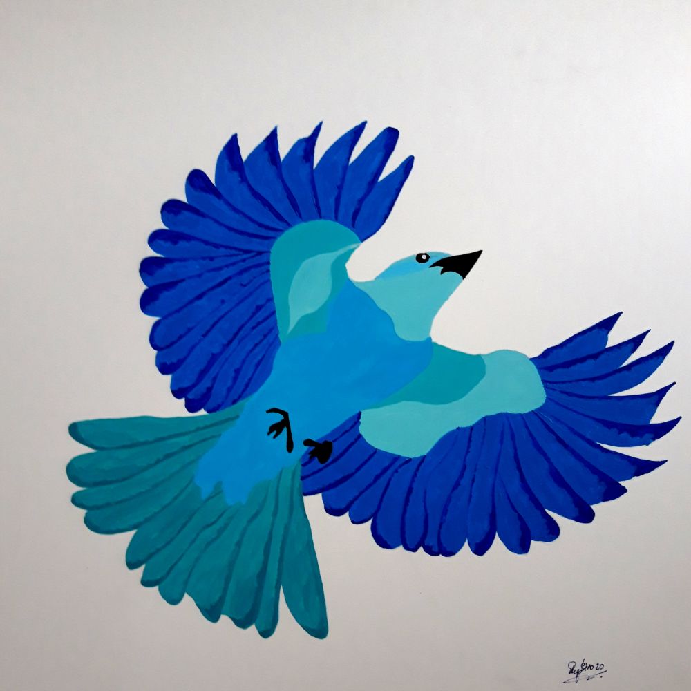 bluebird (50 x 50)