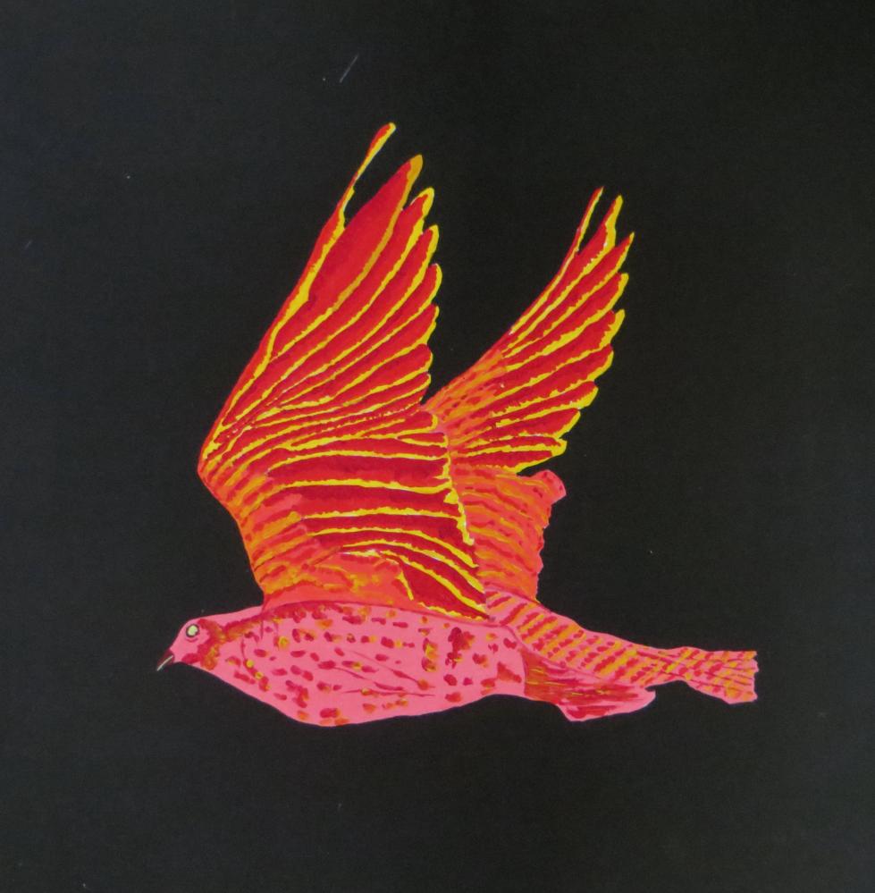 Feuervogel (50 x 50)